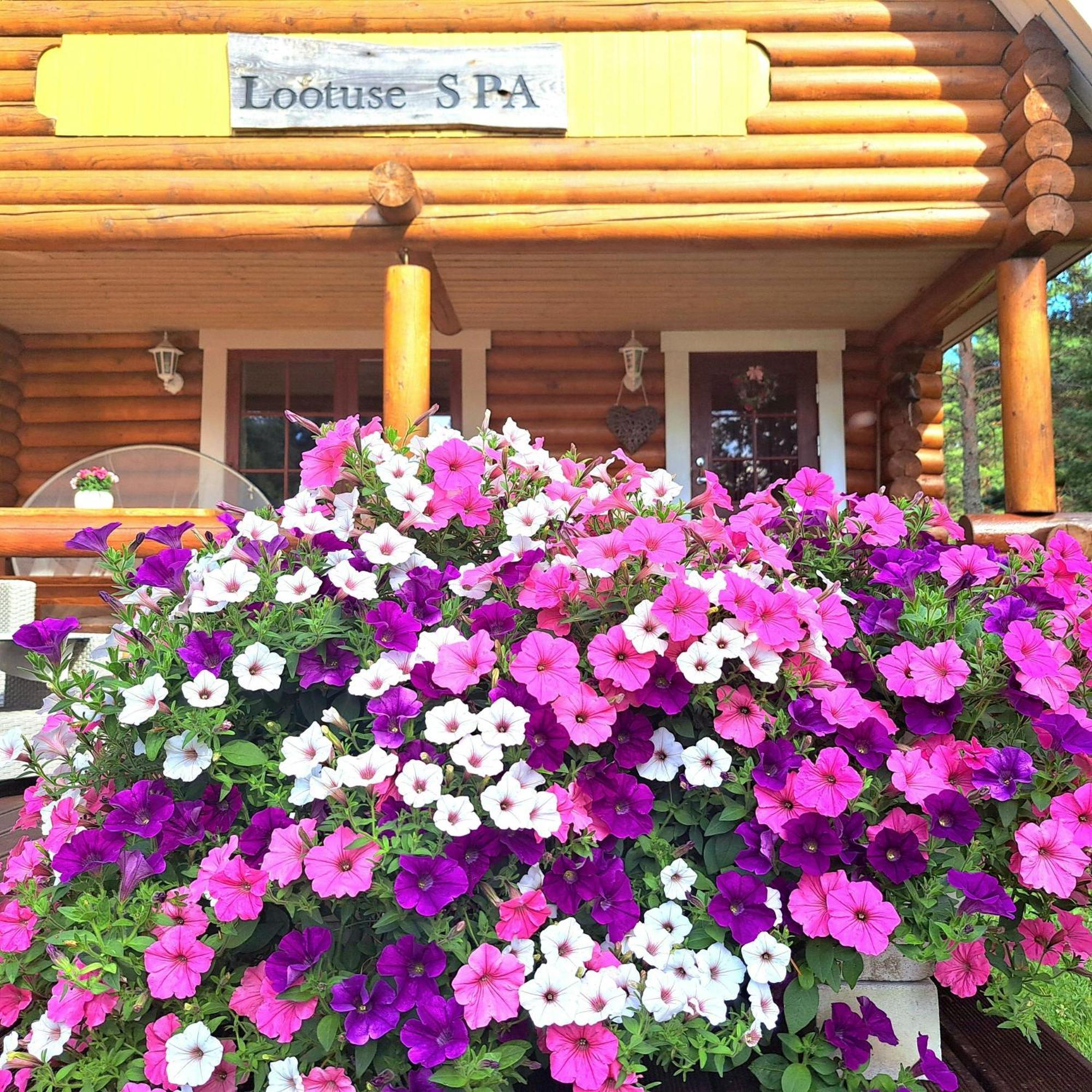 Lootuse Spa Nommemaa 외부 사진